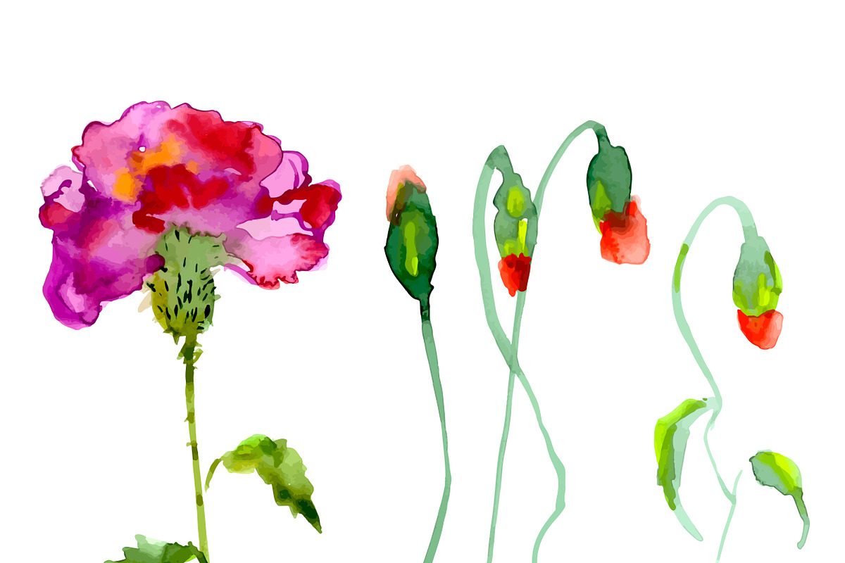 №10 Red carnations blooming, a Decorative Illustration by Rasveta (Photo 2 of 5)