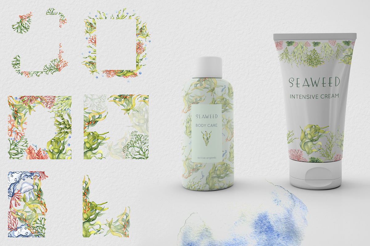 Sea plants watercolor collection, an Illustration by Kate Lanbina (Photo 7 of 18)