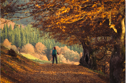 Female Hiker on Country Road Near