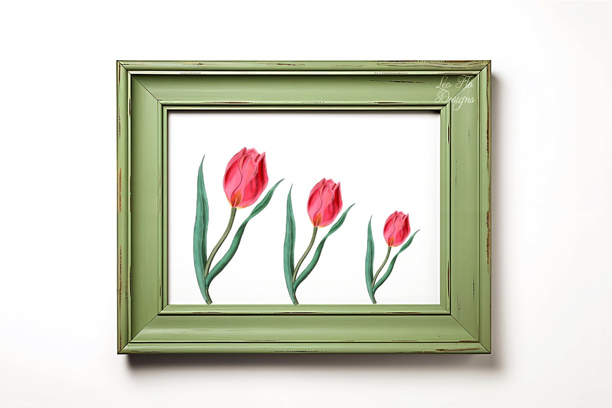Sage green rustic frame stock photo, a Background Photo by Leo Flo Mockups (Photo 4 of 4)