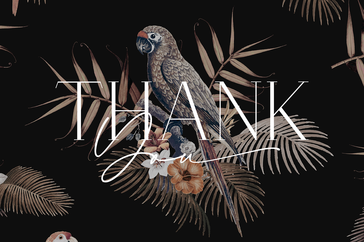 Morena Font Duo, a Serif Font by Pen Culture (Photo 12 of 12)