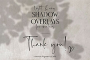 Leafy Botanical Shadow Overlays, a Background Graphic by Pigment Café (Thumbnail 8 of 8)