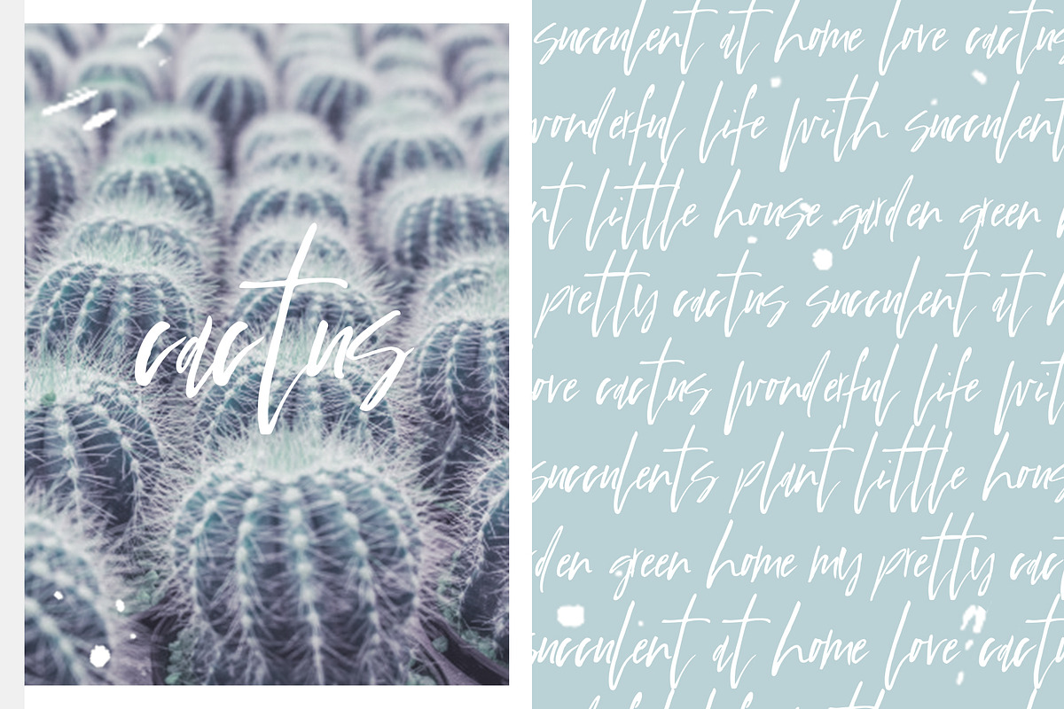 4 fonts for 14$ - Black Friday - 50%, a Script Font by SophieSaxo (Photo 9 of 9)
