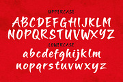 Flavor Spice – Brush Script, a Handwritten Font by decographstud (Thumbnail 9 of 9)