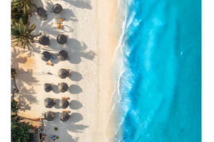 Aerial view of palm trees, umbrellas, a Nature Photo by den-belitsky