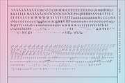 Brand Stylist // luxe duo font, a Serif Font by PeachCreme (Thumbnail 11 of 12)