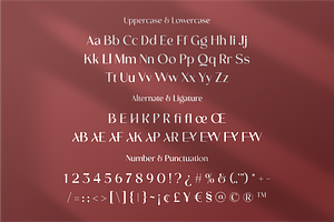 Gabriel Sarikaya - Unique Typeface