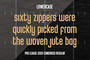 PRO LEAGUE 2020 FONT FAMILY, a Sans Serif Font by Alphabet Agency (Thumbnail 4 of 4)