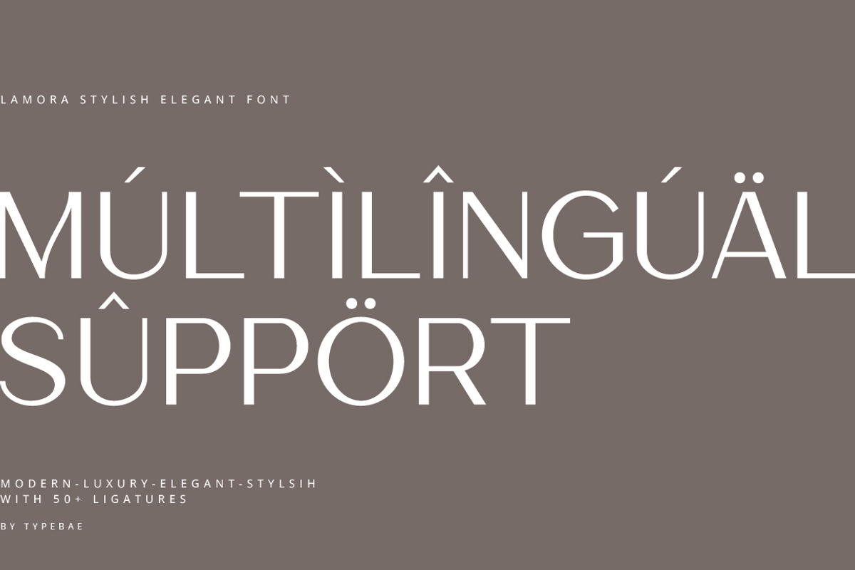 Lamora – Luxury & Modern Logo Font, a Sans Serif Font by Typebae (Photo 12 of 12)