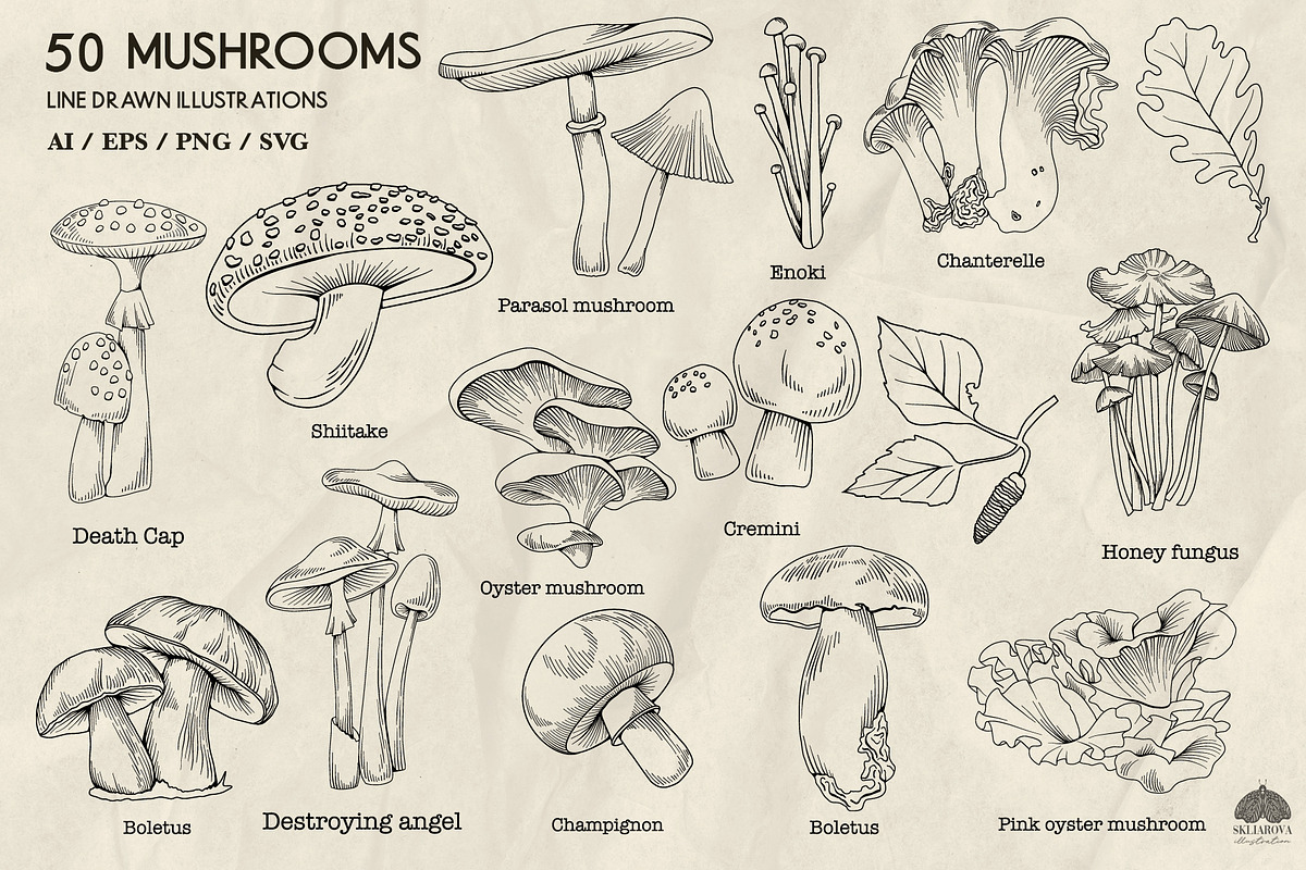 Mushrooms Line Art + Procreate, an Illustration by Skliarova (Photo 4 of 4)