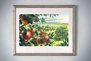 Apple set, a Food Illustration by Countryside life (Thumbnail 6 of 12)