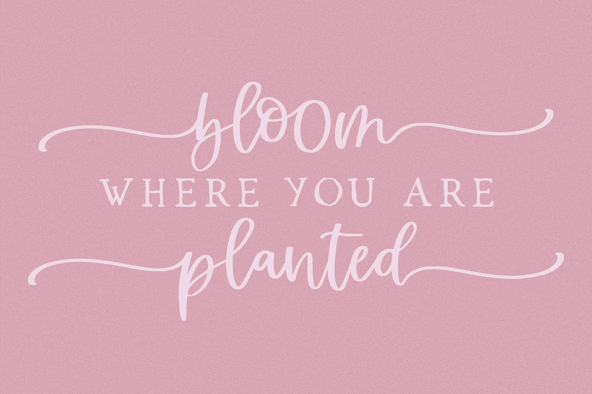 Cottage Charm Calligraphy Font, a Script Font by Beck McCormick (Photo 4 of 10)