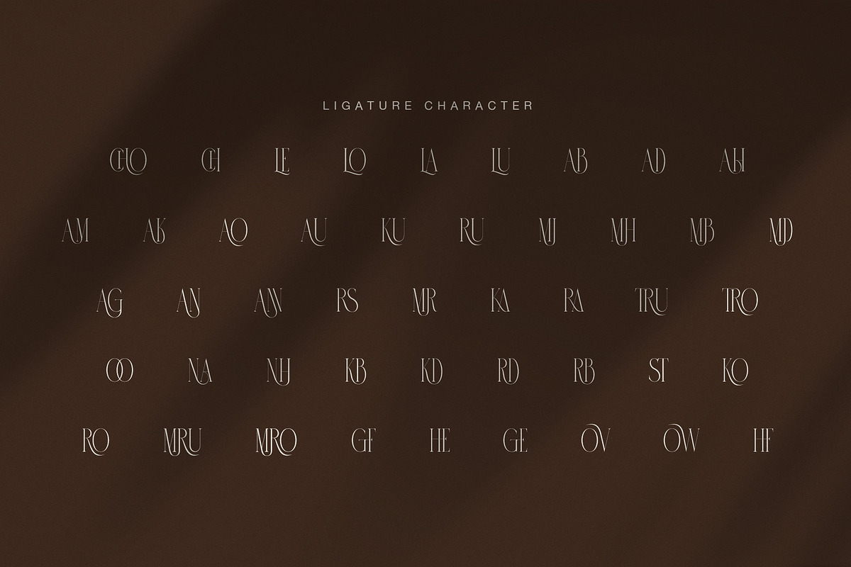 Michole Elegant Serif Font, a Serif Font by Graphicxell (Photo 7 of 7)