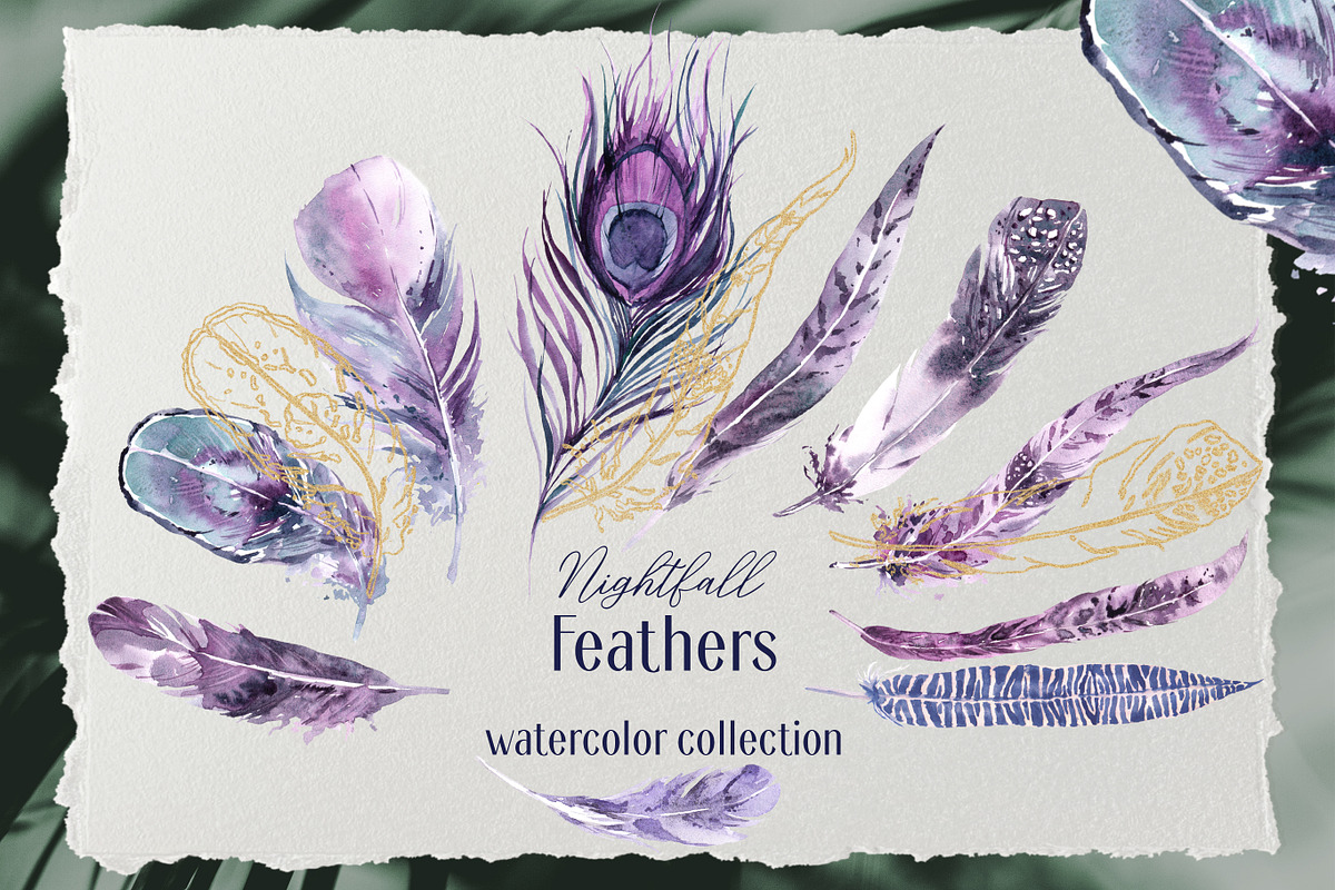 Nightfall Feathers Watercolor, an Illustration by Cat In Colour (Photo 1 of 8)