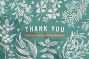 Australian Aromatic Botanicals Set, a Decorative Illustration by rouxsupplyco (Thumbnail 8 of 8)