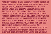 REINHARDT Font, a Serif Font by Brainware Graphic (Thumbnail 4 of 5)