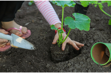 The child is planting a plant in the, a Nature Photo by yanadjana