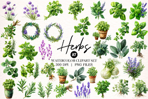 Watercolor Herbs Clipart, an Object Illustration by Digital Artistic99