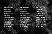 Pinewood - Handpainted Rustic Sans, a Font by Harmonais Visual (Thumbnail 10 of 16)