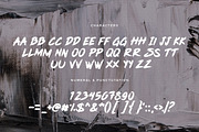 Pink Blue - Brush Display font, a Script Font by Rometheme Std (Thumbnail 11 of 12)