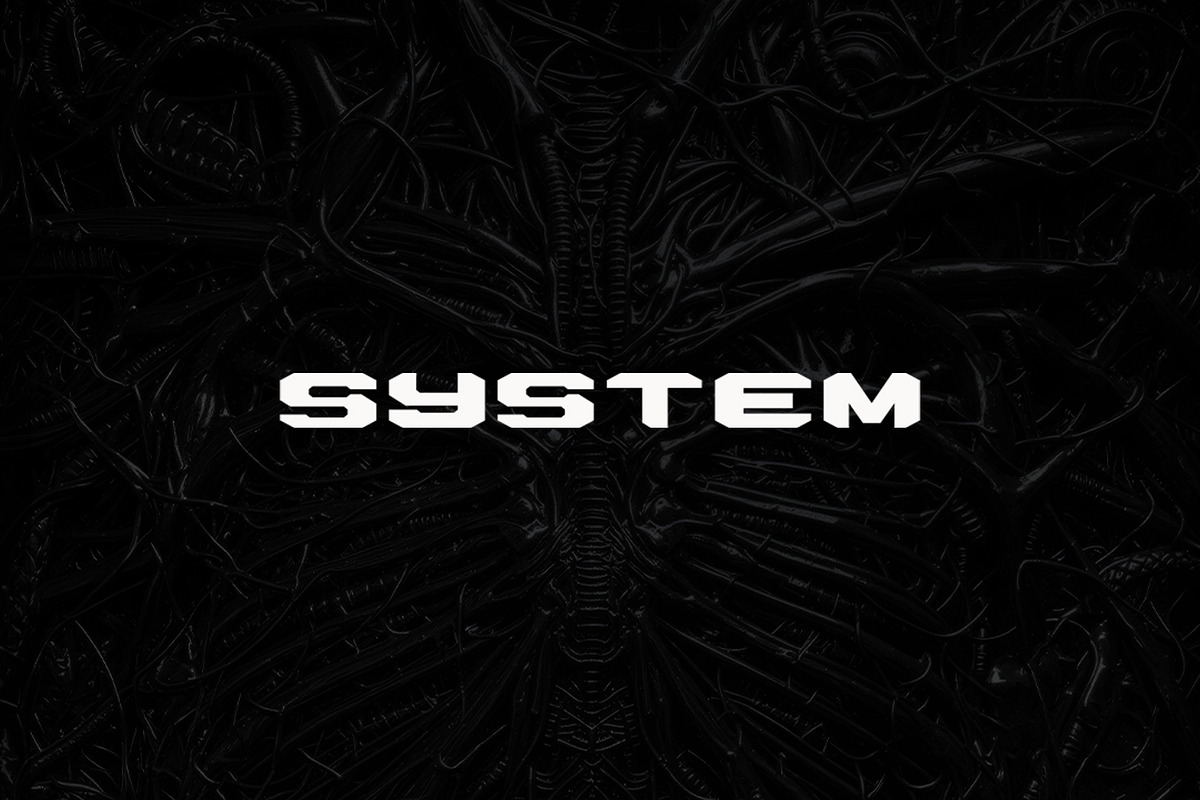 SYSTEM Font, a Font by typecrips (Photo 1 of 2)