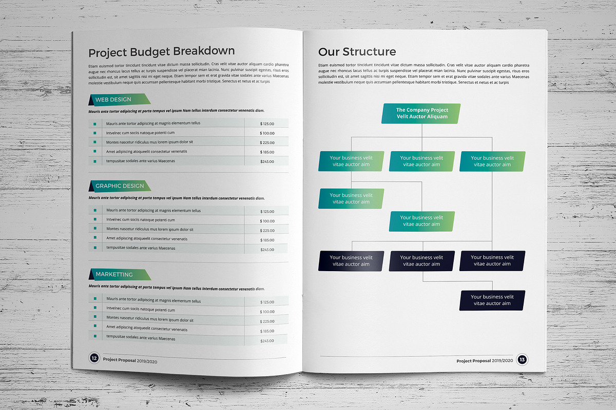 Project Proposal Template V7, a Brochure Template by JanySultana (Photo 7 of 16)