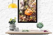 Rustic Pumpkin Garden, a Holiday Photo by pictures for you (Thumbnail 3 of 11)