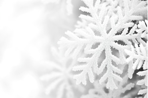 Close up of delicate snowflakes on, a Nature Photo by Lermont51