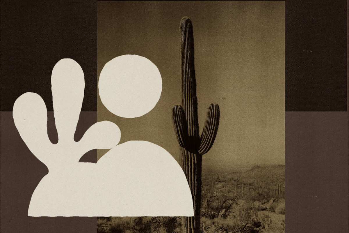 Organic Planet - 40 Hand Drawn Icons, a Decorative Illustration by Madeline ODonoghue Design (Photo 20 of 23)