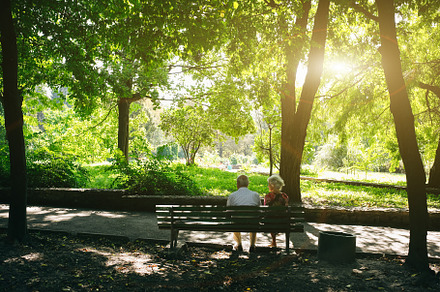 Beautiful old couple in the park containing adult, aged, and anniversary