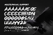Rough Splash - Brush Font, a Handwritten Font by Dumadistyle (Thumbnail 3 of 9)