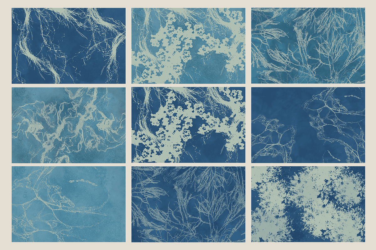 Ocean Shots hand drawn backgrounds, a Background Graphic by DigARTbyHavroshka (Photo 6 of 10)