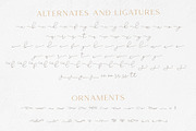 Gamour - Elegant Serif Font + Bonus, a Serif Font by Craft Supply Co. (Thumbnail 8 of 10)