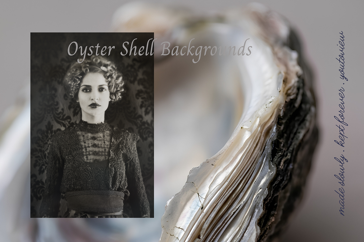 Oyster Shell Textures Backgrounds, a Background Graphic by youtoview (Photo 9 of 12)