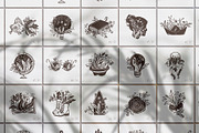 Magic Floral Icons, a Decorative Illustration by alexrockheart (Thumbnail 4 of 10)