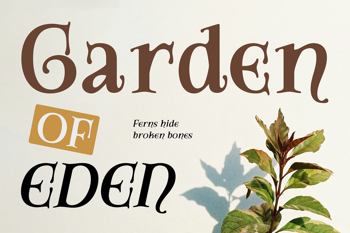 CS Amoret Drawn, a Serif Font by Craft Supply Co. (Photo 7 of 8)
