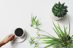 Hand Holding Coffee Cup Flatlay, a Business Photo by René Jordaan Photography