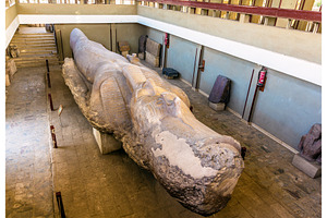 The statue of ramesses ii 3200 year old in memphis egypt featuring egypt, an Architecture Photo by Leonid Andronov