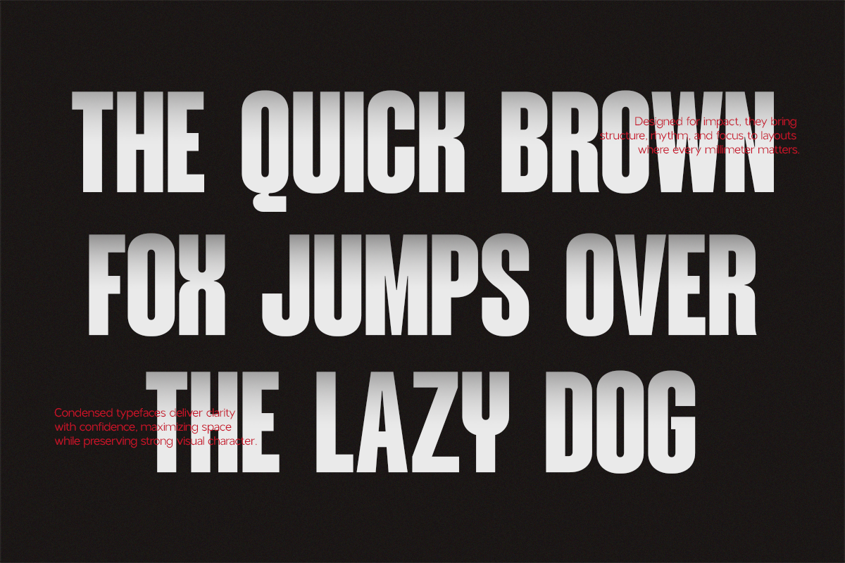 NV Dunk – Condensed Sans Serif, a Sans Serif Font by Novaratype (Photo 2 of 15)