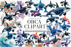 Watercolor Orca Clipart, an Illustration by Designworld