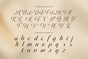 Amoura - Elegant Luxury Script Font, a Script Font by Sensatype (Thumbnail 10 of 13)