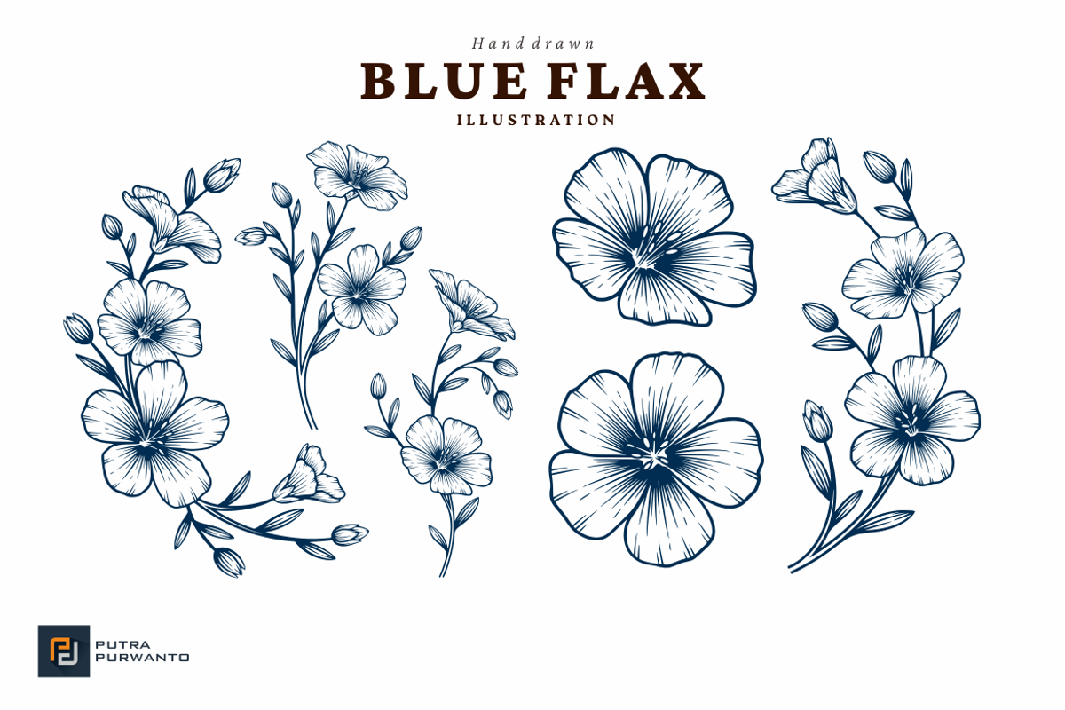 Blue Flax Flower Hand Drawn Illustra, an Object Graphic by putra_purwanto (Photo 1 of 2)