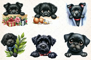Watercolor Peeking Black Dog PNG Cli, an Illustration by DreamCafeArt (Thumbnail 4 of 7)