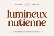 Caliten – Modern Inktrap Serif, a Serif Font by Mahesans Co (Thumbnail 2 of 10)