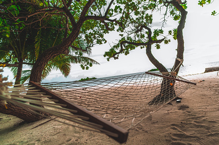 Hammock on the bright beach, a Holiday Photo by SkyNext