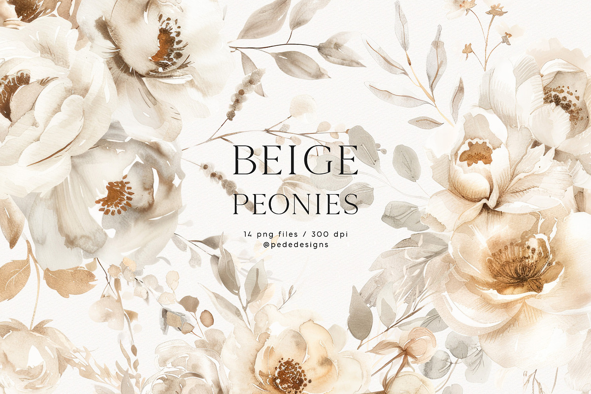 Beige Peonies, a Decorative Illustration by PeDe Designs (Photo 1 of 9)