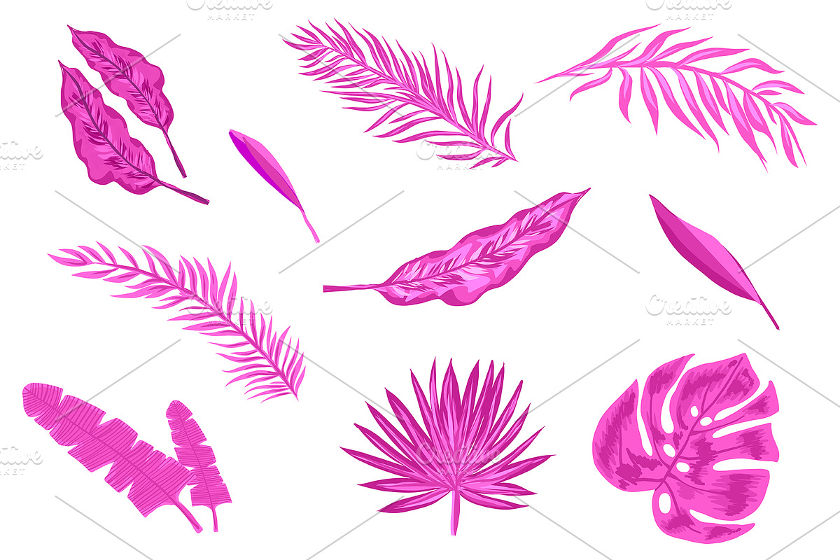 Rainforest Tropical Leaves set, a Decorative Illustration by mcherevan (Photo 3 of 4)