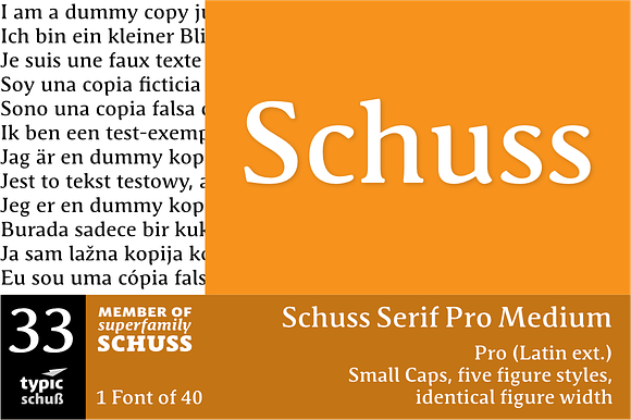 SchussSerifProMedium No.33 (1 Font) preview 6