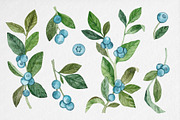 Watercolor Blueberry Clipart, an Illustration by MilanaDesignShop (Thumbnail 2 of 4)