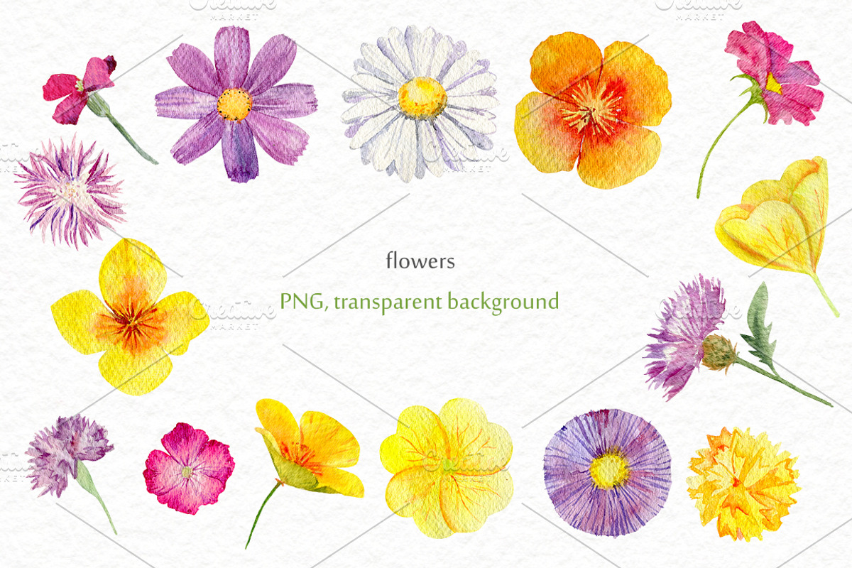 Wild flowers watercolor set, a Background Graphic by Elegantia (Photo 2 of 15)